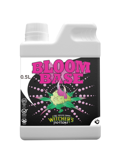 Bloom Base