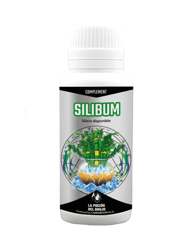 SILIBUM