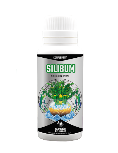 Silibum