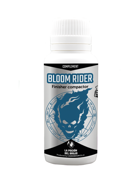 Bloom Rider