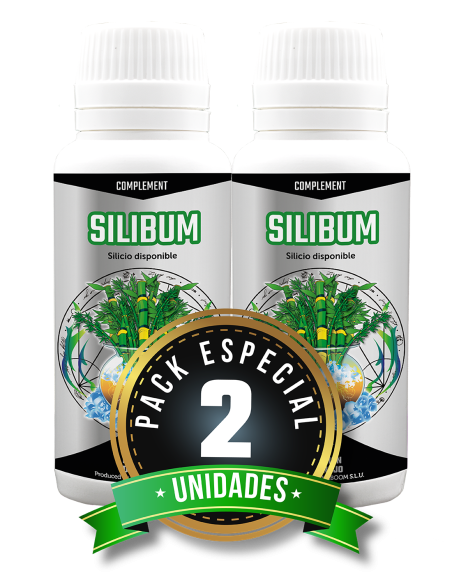 Silibum